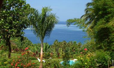 Whimsical Tahitian Cottage Experience-PPT Vanira Lodge - View from garden